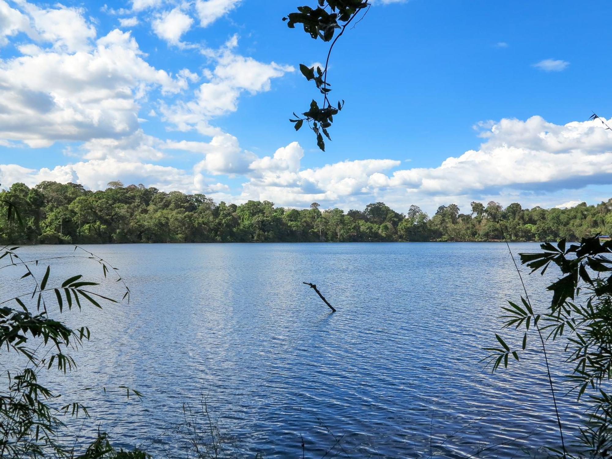 Backpacker Hostel And Jungle Trekking รัตนคีรี ภายนอก รูปภาพ